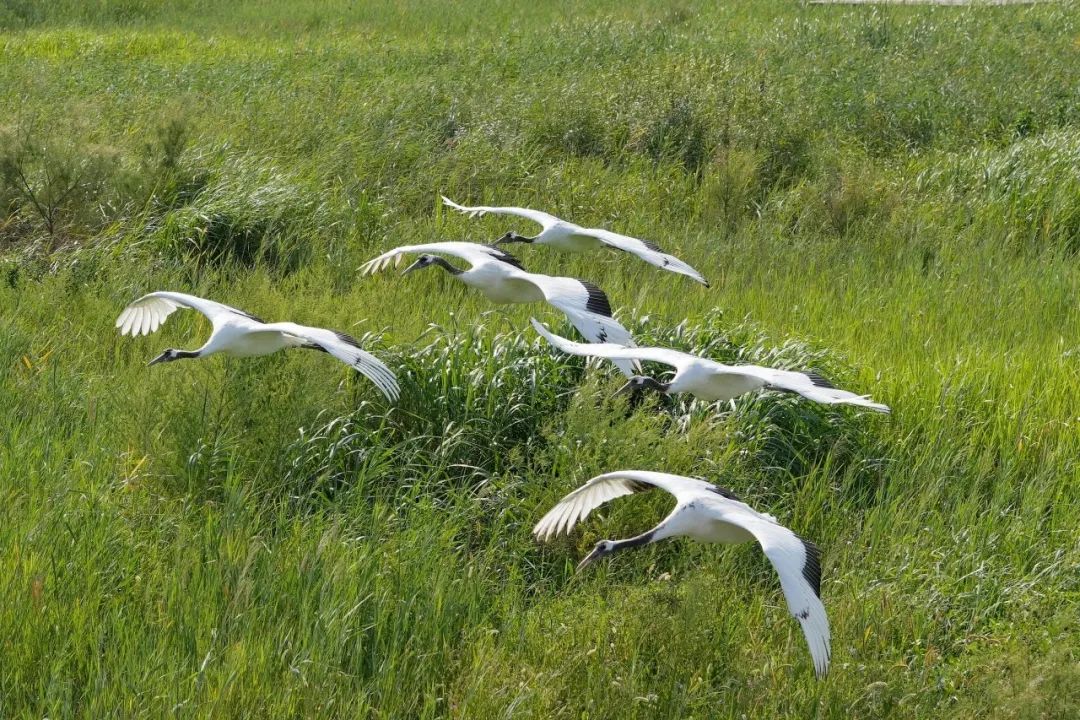 1665567771128643.jpg 微信图片_20221012174211.jpg