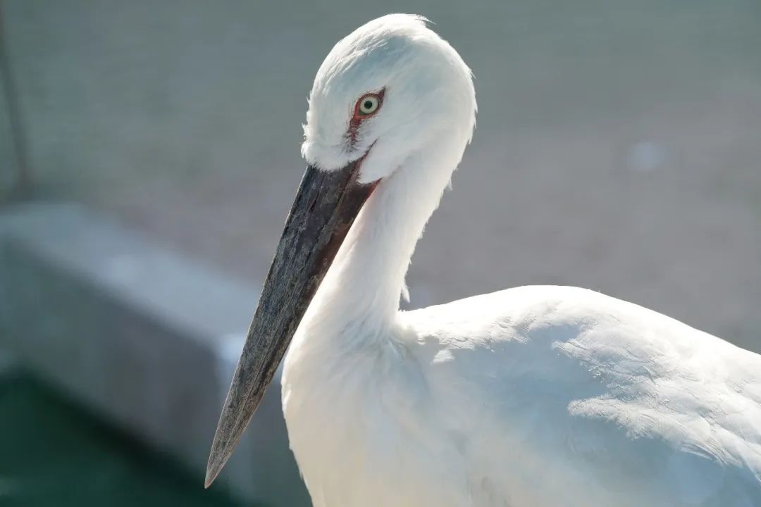 1665567777171696.jpg 微信图片_20221012174213.jpg